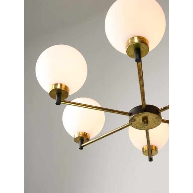 Takes 6x standard e14 light bulb (not included). for us/canadian customers, an adapter for the lightbulb (e14 to e12) will...
