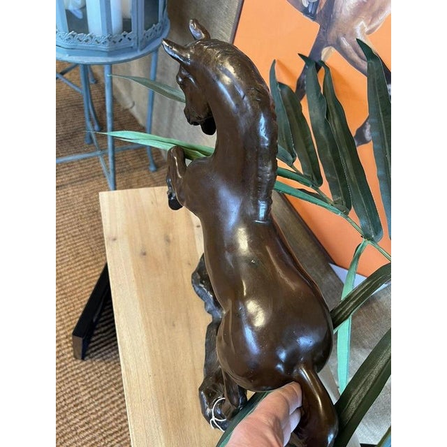 Unknown Artist, Classical Horse Sculpture, Cast Bronze For Sale - Image 9 of 11