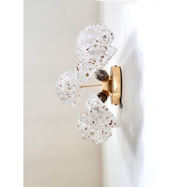 Mid-Century Modern Contemporary Mid-Century Modern "Conchiglie" Murano Glass Gold Wall Sconce-Set of Two For Sale - Image 3 of 10