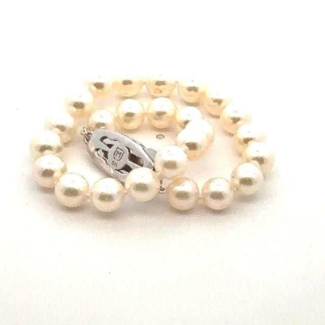Authentic Mikimoto Akoya Pearl Bracelet 7.5" 6.5 mm Sterling Silver Estate M460 This elegant Authentic Mikimoto Estate...