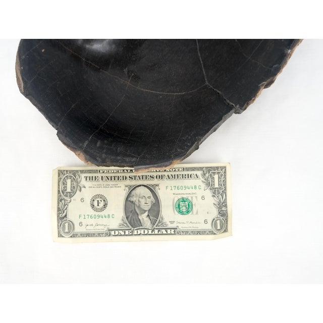 Petrified Wood Round Shape Solid Black Round Bowl Dish Large Plate Ashtray MINT! For Sale - Image 9 of 9