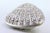 Clam-Shaped Silver Shell with Reliefs and Double Hinged Lid, in Very Good conditions. Designed from 2000 This piece has an...
