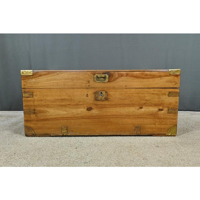 Camphorwood Marine Trunk, 1800s For Sale - Image 10 of 18