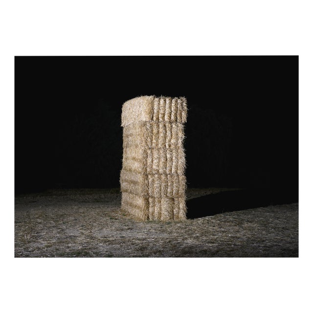 Filipe Condado, Untitled, Photography For Sale