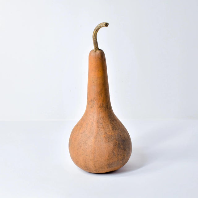 Early 20th Century Calabash Shaker Gourd Asante Nigeria For Sale - Image 4 of 10