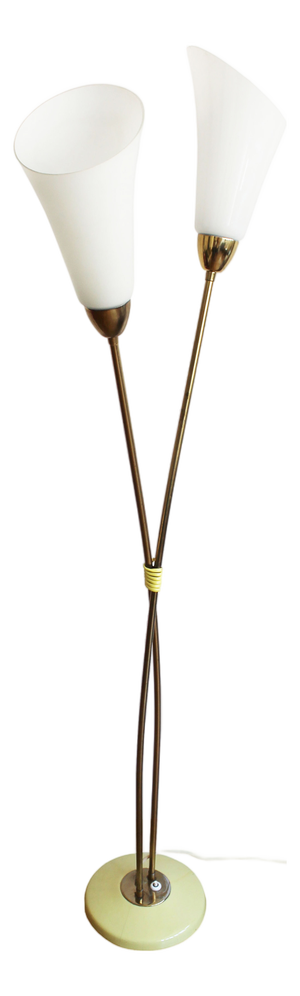 Sculptural Brass and Milk Glass Floor Lamp, Former Czechoslovakia, 1960s