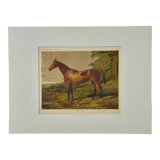 Fair Nell Horse Landscape Print by Cassell, 1885 For Sale