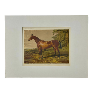 Fair Nell Horse Landscape Print by Cassell, 1885