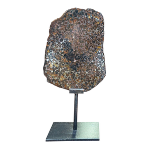 Pallasite Meteorite Slice From the Jericho Strewn Field, Kenya.