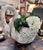 Sculpture Materials Early 1900s Antique French Concrete Swan Planter For Sale - Image 7 of 17