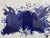 Yves Klein for Room & Board Serigraph Print, Framed For Sale - Image 12 of 12
