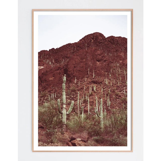 Contemporary Southwest Desert Landscape With Cactus Photograph – 32" X 48 For Sale - Image 3 of 5