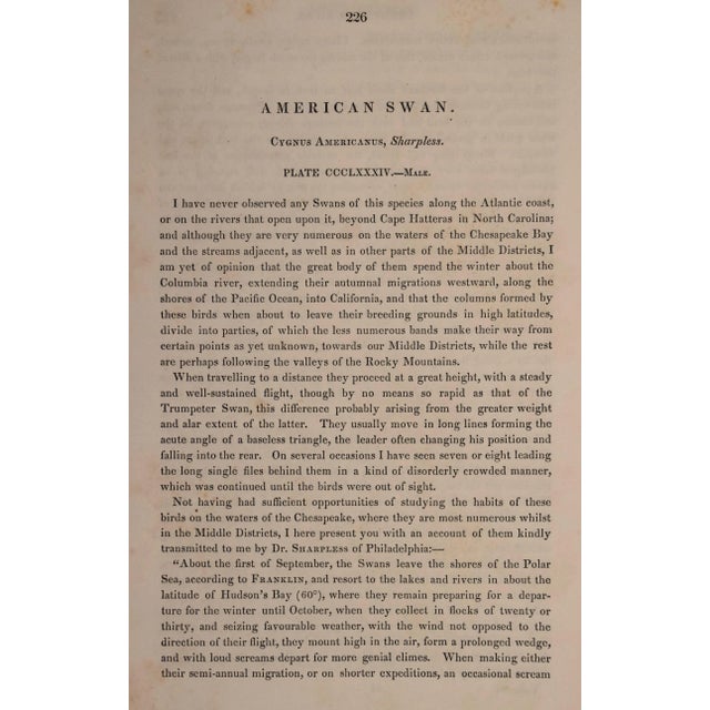 Mid 19th Century "American Swan", Audubon Hand-colored First Octavo Edition Lithograph, 1840 For Sale - Image 5 of 5