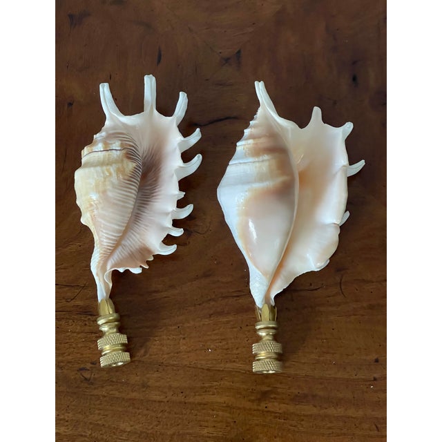 Coastal 1960s Pair Vintage Coastal SeaShells Lamp Finials For Sale - Image 3 of 3