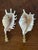 Coastal 1960s Pair Vintage Coastal SeaShells Lamp Finials For Sale - Image 3 of 3
