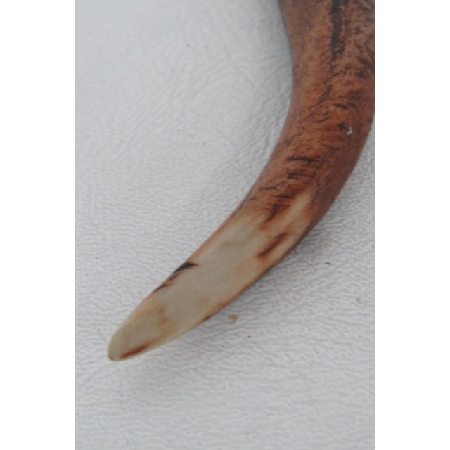 Bone Mid 20th Century Leppington Cutlers LTD Fork With Curved Antler Stag Handle For Sale - Image 7 of 10