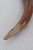 Bone Mid 20th Century Leppington Cutlers LTD Fork With Curved Antler Stag Handle For Sale - Image 7 of 10