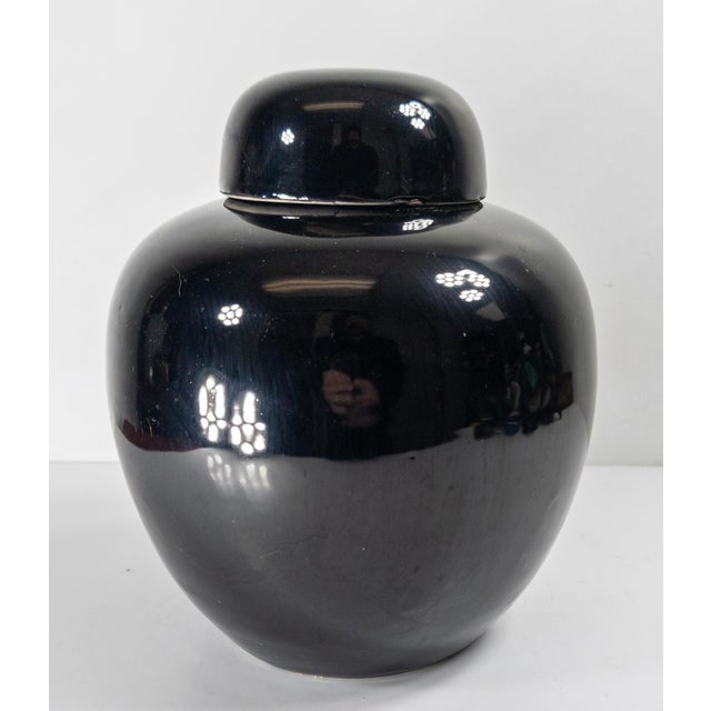 Ceramic 19th Century Chinese Chinoiserie Mirror Black Ginger Jar With Cover For Sale - Image 7 of 18
