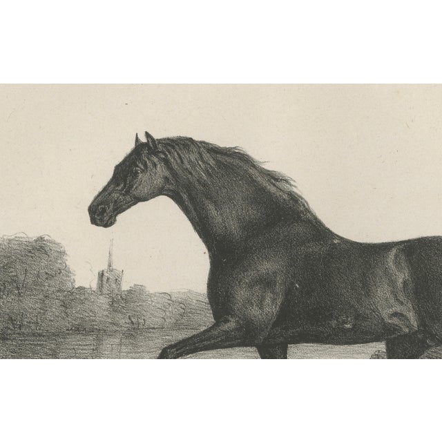 Gold After Chalon, Volunteer & Selim Thoroughbred Horses, Lithographs, 1840, Set of 2 For Sale - Image 8 of 9