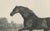 Gold After Chalon, Volunteer & Selim Thoroughbred Horses, Lithographs, 1840, Set of 2 For Sale - Image 8 of 9