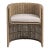 Coastal Contemporary Faux Wicker Outdoor Barrel Chair For Sale