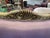 Lavender Silk Sofa Chair With Ornate Wood Frame and Pillow For Sale - Image 11 of 12