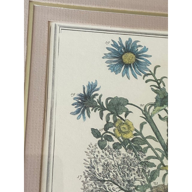 1970s Vintage Robert Furber November Botanical Calendar Print, Framed For Sale - Image 5 of 12