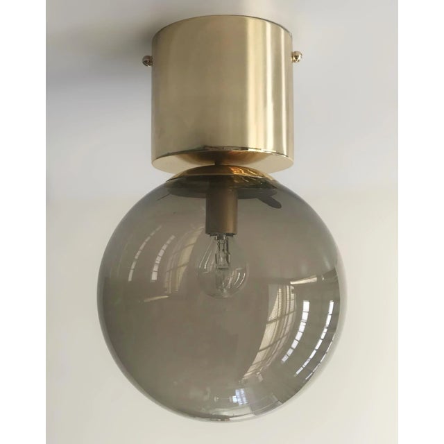 Italian 21st Century Italian Uno Polished Brass and Smoky Murano Globe Flush Mount by Fabio LTD For Sale - Image 3 of 6