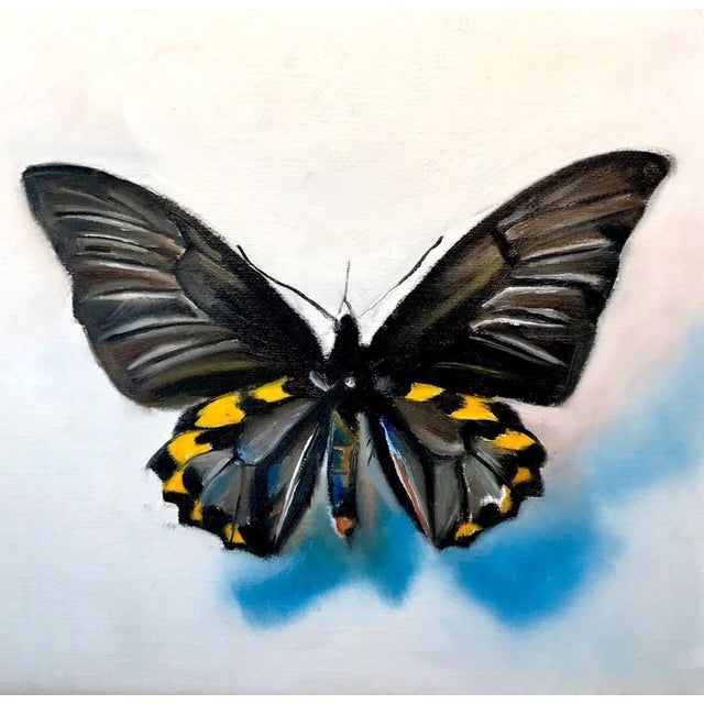 This oil on panel artwork features a striking butterfly, its intricate wings displaying a blend of deep blacks and vibrant...