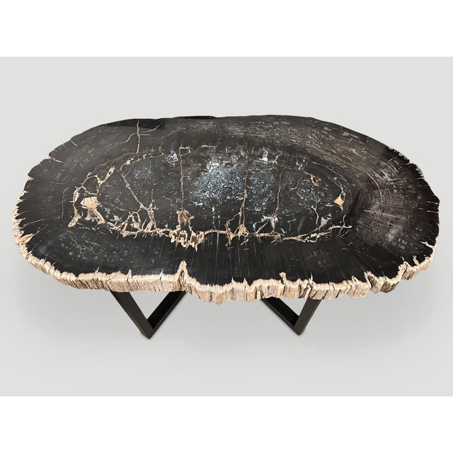 Contemporary Andrianna Shamaris Magnificent Large Petrified Wood Table For Sale - Image 3 of 18