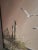 Vintage Philip Sandee. Sandee Framed Beach Coastal Oil Painting – Seagulls & Dunes 26" X 22" For Sale - Image 9 of 12