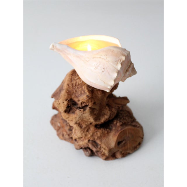Shell Mid-Century Burl Wood Shell Candle Sculpture For Sale - Image 7 of 12