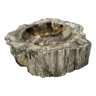 French Ashtray in Fossilized Wood For Sale