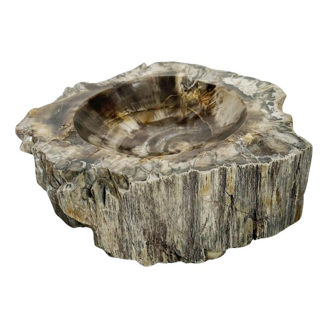 French Ashtray in Fossilized Wood For Sale
