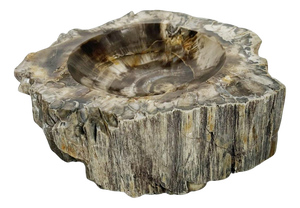 French Ashtray in Fossilized Wood