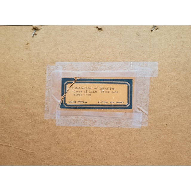 19th Century Framed Set of Italian Grand Tour Intaglios in Shadow Boxes For Sale - Image 12 of 12