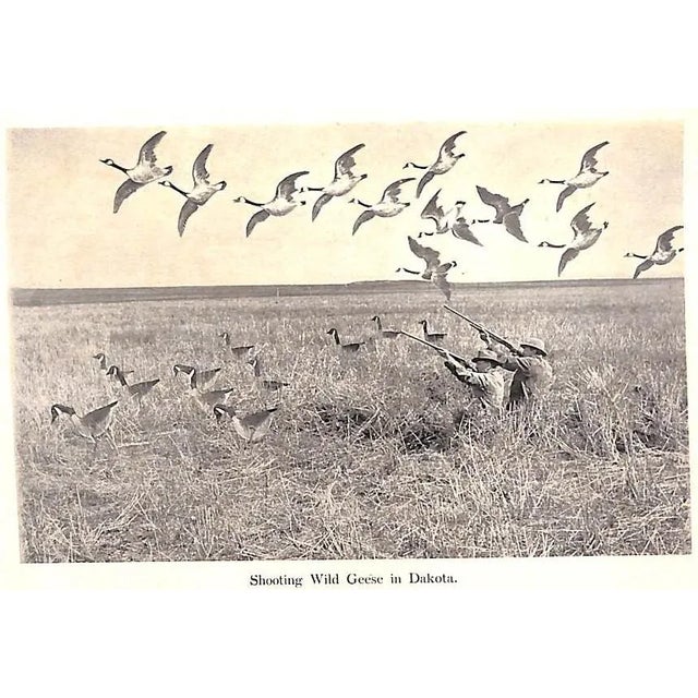 Traditional Rob and His Gun For Sale - Image 3 of 11