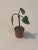 Very special and unusual miniature wax bronze in the shape of a potted plant made by artist Ludwig Redl. Purchased from a...