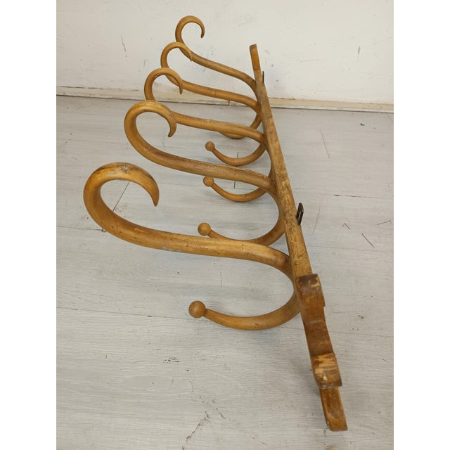 Tan Wall-Mounted Coat Rack by Thonet, 1890s For Sale - Image 8 of 15