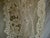 Textile French Pair of 19 Century Lace Sheer -Curtains For Sale - Image 7 of 15