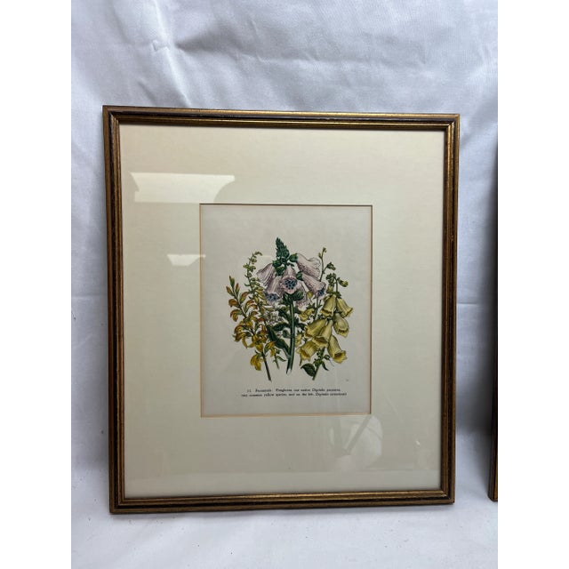 English Two Framed Floral Prints For Sale - Image 3 of 10