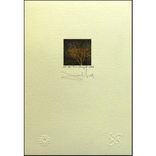 1980s Frank Howell "Tree Study Ii" Hand Signed Lithograph on Paper For Sale