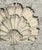 Mid 20th Century Vintage Concrete Shell Wall Plaque For Sale - Image 5 of 17