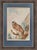 18th Century 18th Century Watercolors of Birds by Abraham Van Meertens (1747-1823) - Set of 4 For Sale - Image 5 of 7