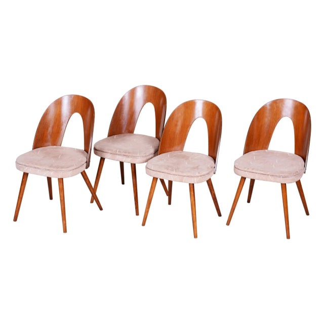 Beige Czech Brown and Beige Chairs by Antonín Šuman, 1950s, Set of 4 For Sale - Image 8 of 8