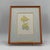 Paper Title: Vintage Margot Weemaes Primula Kewensis Botanical Print 1981 Framed For Sale - Image 7 of 11