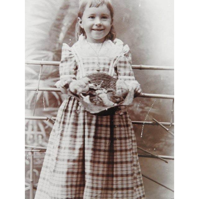 Antique albumen cabinet card photograph of cute little girl holding a straw hat full of baby chicks. Gault Lind Marinette,...