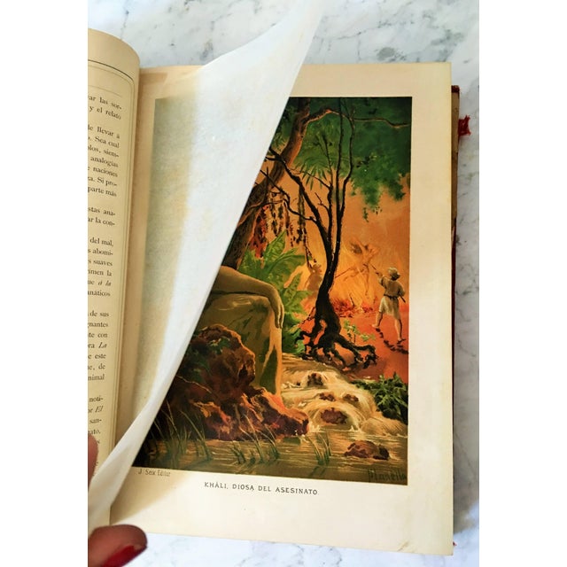 Paper 19th Century Masterpiece Big Book "The Superstitions of Humanity" For Sale - Image 7 of 10