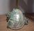 Large 7" Polished Green Turban Shell Marmoratus 4" Opening Pristine For Sale In West Palm - Image 6 of 8