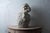 Bust of Laocoön, After the Antique, 20th Century For Sale - Image 9 of 12